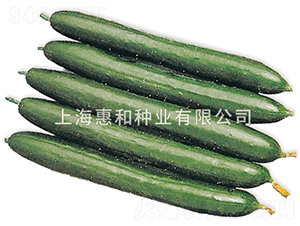 ����ļ�-�S�ϷN��-�ݺͷN�I(y��)