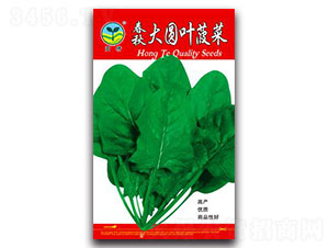 �����A�~����-���˷N��-����