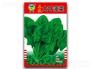 ������~����-���˷N��-����