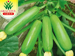 �̬�-�����J�N��-��(y��u)���r(n��ng)�I(y��)