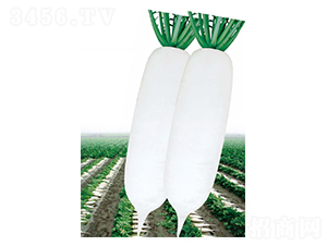 ��ѩ301-�}���N��-��(y��u)���r(n��ng)�I(y��)