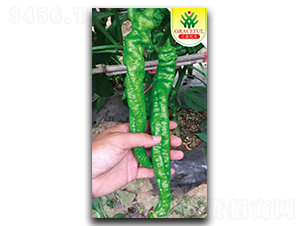 ���L(f��ng)����-�����N��-��(y��u)���r(n��ng)�I(y��)