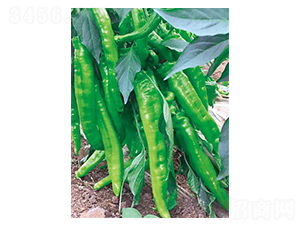 �|���L��-�����N��-��(y��u)���r(n��ng)�I(y��)