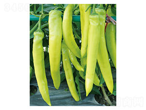 ���S-�����N��-��(y��u)���r�I(y��)