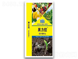 ���ܠI�B(y��ng)��-������-ԥ��ʘI(y��)