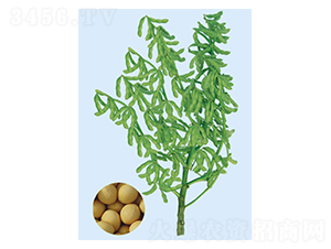 �_(t��i)��292-ë���N��-���S�N�I(y��)