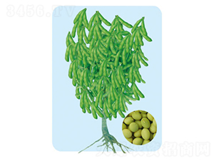 ���Sһ̖(h��o)-ë���N��-���S�N�I(y��)