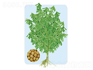 �|��34-�󶹷N��-���S�N�I(y��)