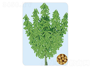 �|��36-�󶹷N��-���S�N�I(y��)