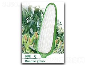 ��Ŵһ̖-Ŵ���׷N��-�(zh��n)�зN�I(y��)