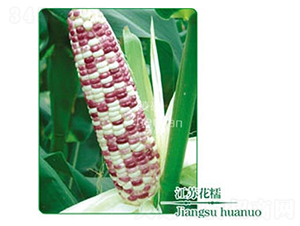 ���K��Ŵ-Ŵ���׷N��-�(zh��n)�зN�I(y��)