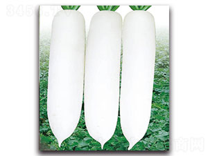 ��ѩ-�}���N��-���ʵ�(l��)