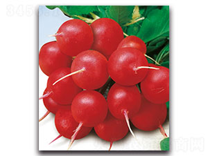 ���A-�}���N��-���ʵ�(l��)