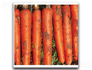 ���t-�}���N��-���ʵ�(l��)