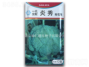 ����-���m���N��-���ʵ�