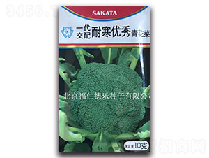 10g�ͺ���(y��u)��-���m���N��-���ʵ�(l��)