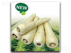 ����-�}���N��-�ȃ�(y��u)�_(d��)