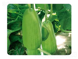 �ȃ�(y��u)����-�����J�N��-�ȃ�(y��u)�_(d��)