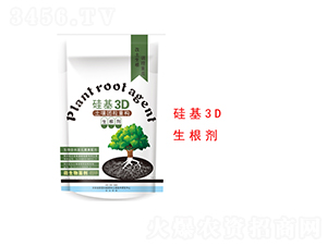 ���3D������-�����