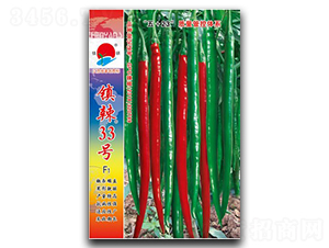 鎮(zhèn)辣33號(hào)-線椒種子-鎮(zhèn)研種業(yè)