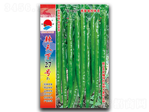 辣天下27號-線椒種子-鎮(zhèn)研種業(yè)