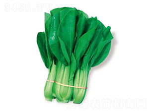 ����-��˷N��-�ȃ�(y��u)�_(d��)