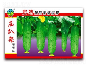 ��ſ�ܹ�(ji��)��(ji��)��-�S�ϷN��-����