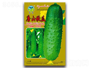 ��ɽ���-�S�ϷN��-����