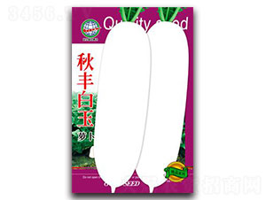 ���S�����}��-�}���N��-����