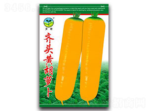 �R�^�S���}��-�}���N��-����