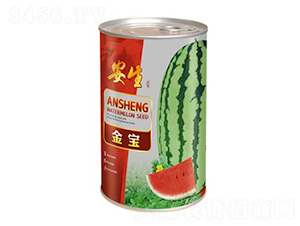 ����-���ϷN��-����