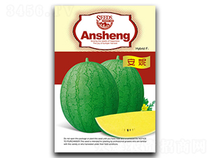 ����-���ϷN��-����