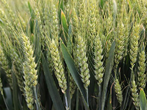 ����67-С���N��-���ǷN�I(y��)