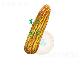 ����30-���׷N��-ԣ�S�N�I(y��)