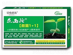 救苗1+1-蔬西施-巴農思達