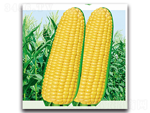 �S����606-Ŵ���׷N��-���^�B