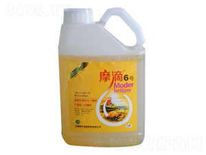 Ħ��6̖-ħ��Һ��