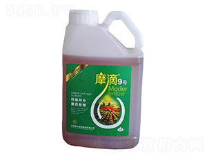 Ħ��9̖-ħ��Һ��