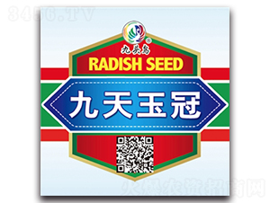 �������-�}���N��-���^�B(ni��o)