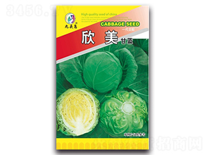 �������{(l��n)-���{(l��n)�N��-���^�B