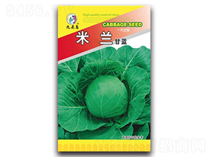 ���m���{(l��n)-���{(l��n)�N��-���^�B