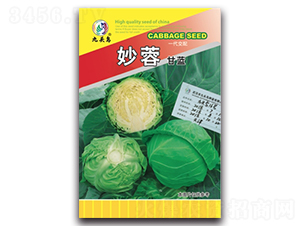 ���ظ��{(l��n)-���{(l��n)�N��-���^�B