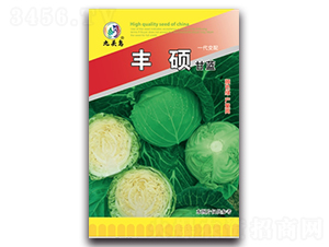 豐碩甘藍(lán)-甘藍(lán)種子-九頭鳥(niǎo)