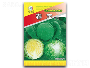 �������{(l��n)-���{(l��n)�N��-���^�B