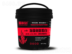 �����~�ĵ���΢�������-형r(sh��)�