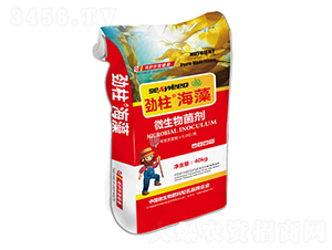 ΢�������-��������-형r(sh��)�