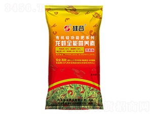 �ЙC�����rȫ�ܠI�B(y��ng)�أ�피��棩-���