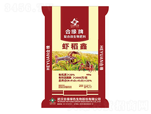 ��(f��)���������-�r����-�Ͼ���