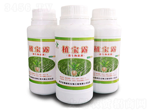 ֲ��¶-�Ͼ���