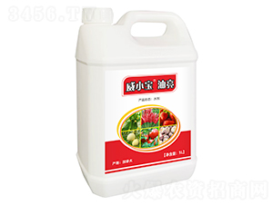 油亮-威小寶-天宸夢